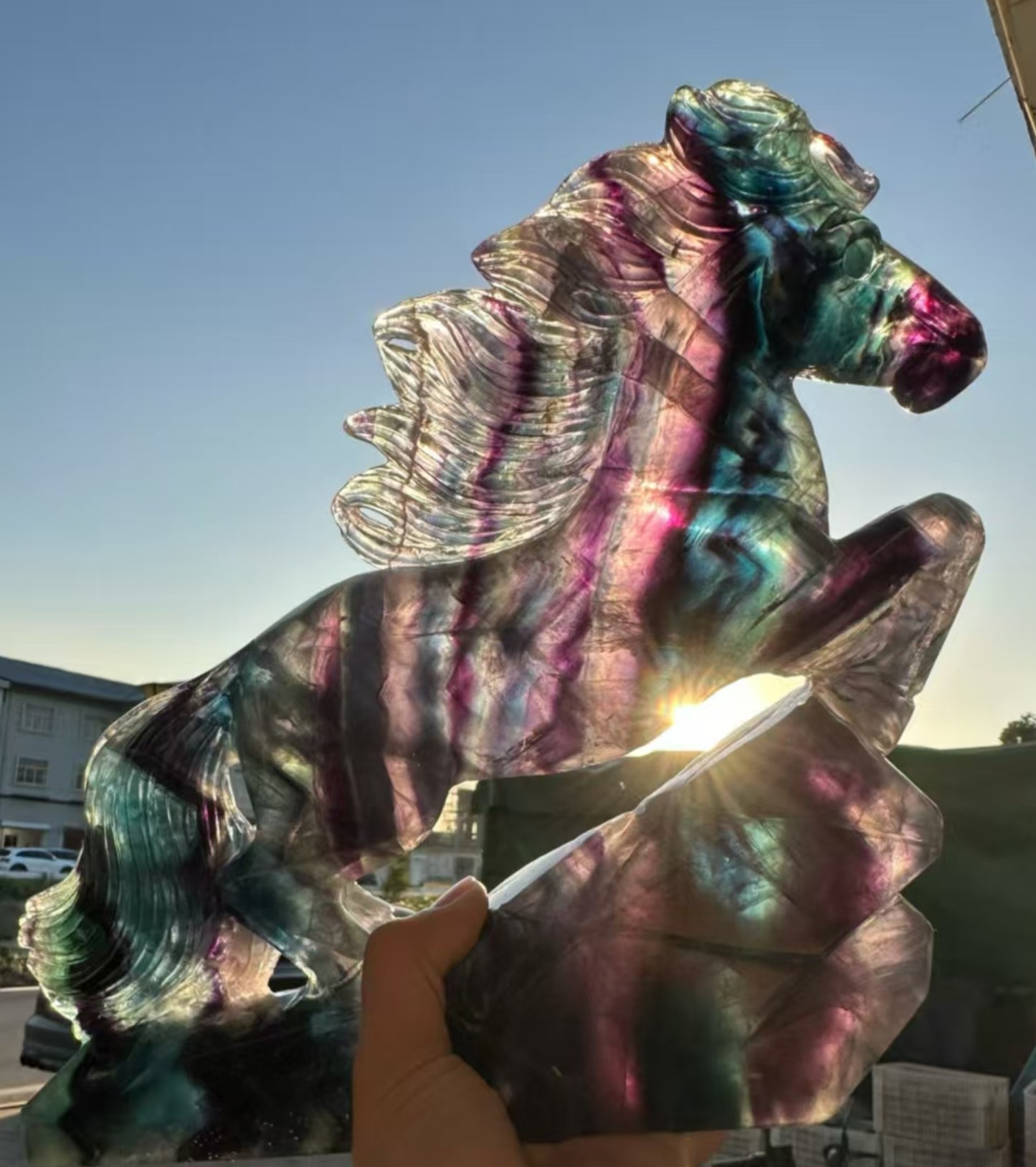 Rajnbow Fluorite Hand Carved Horse